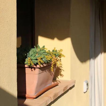 Da Leo Guest house
