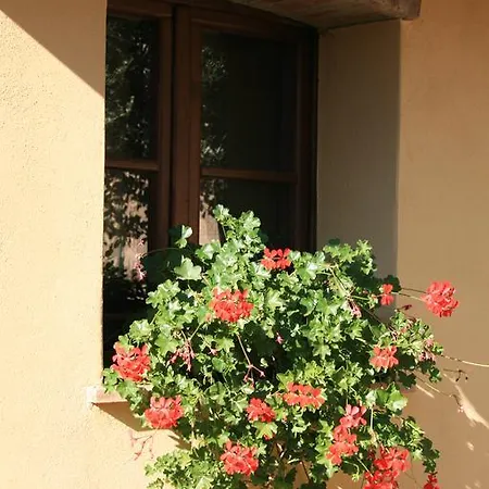 Da Leo Casa de hóspedes Montefollonico