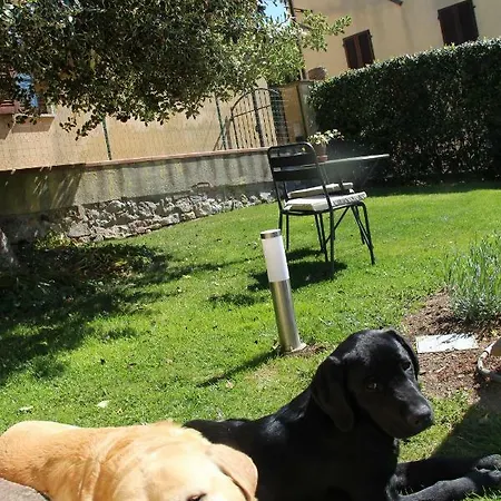 达利奥旅馆 Montefollonico