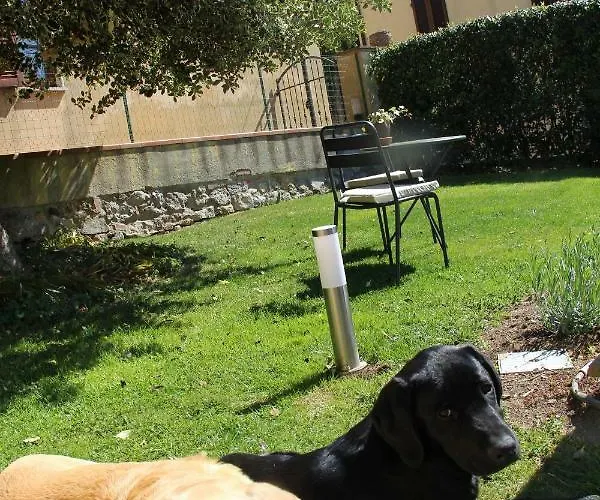 Da Leo Montefollonico